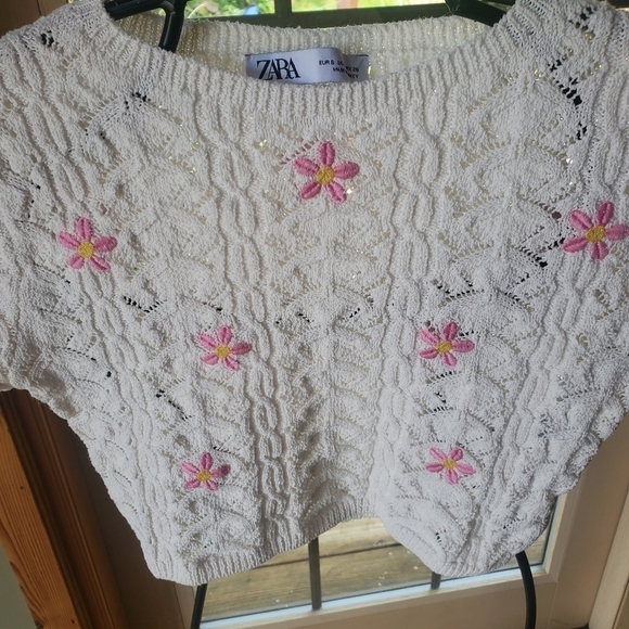 Zara Pink Embroidered Short Sleeve Crew Neck Sz. S Crop Knit Top - Picture 5 of 10